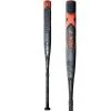 Bats 2020 Louisville Slugger RXT X20 (-10) Fastpitch Softball Bat: WTLFPRXD1020