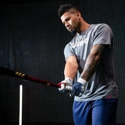 Wood Baseball Bats Marucci Gleyber Torres Maple Wood Baseball Bat: GLEY25