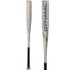 True Temper Sports True Temper Dynamic (-3) BBCOR Baseball Bat: BB23DYNAMICB3