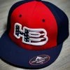 HB Sports Exclusive ES342 Fitted Hat: BIG USA